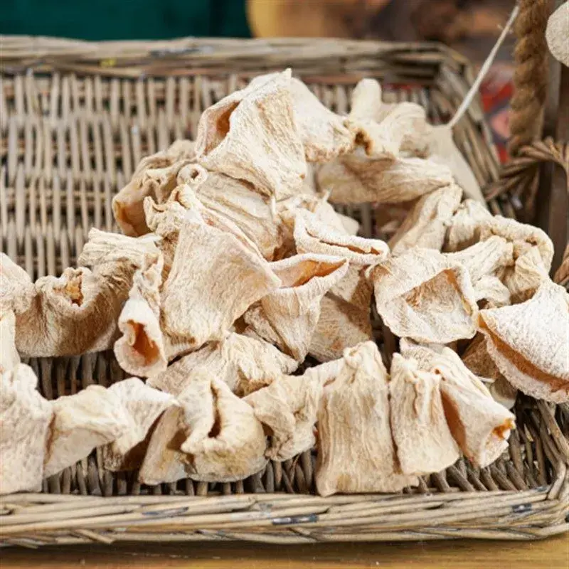 Haylan Kabağı